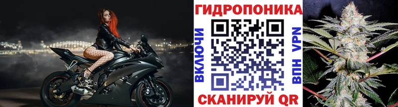 Канабис марихуана  даркнет сайт  Алексеевка 